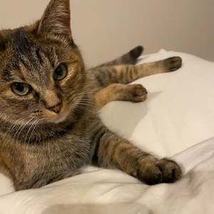 Meet your Posher, Jessica